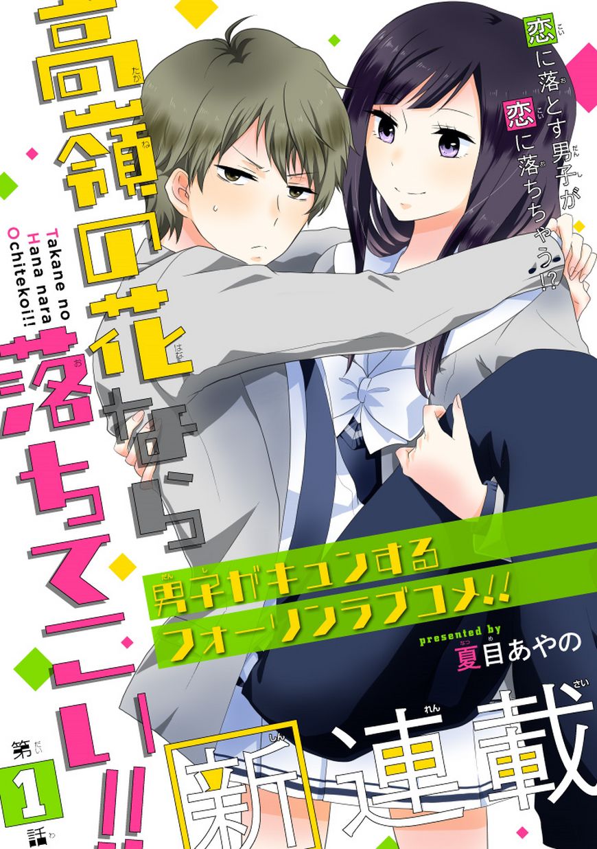 “Takane no hana nara ochitekoi

Genre: 4-koma funny male le...