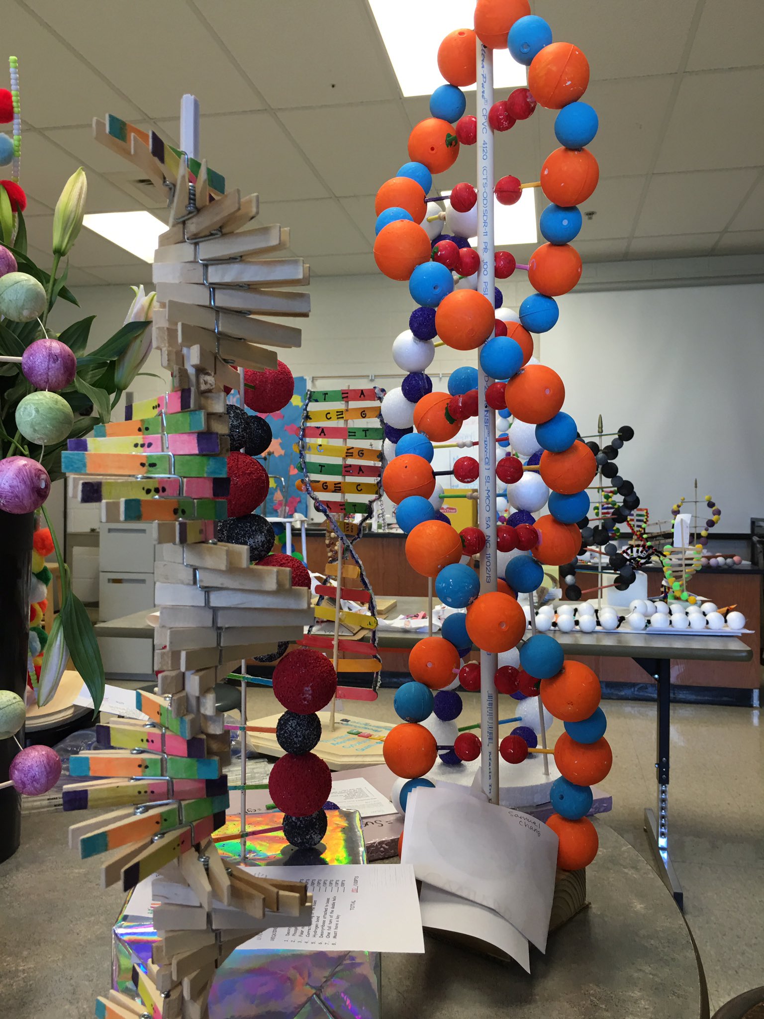 Dna Model Project