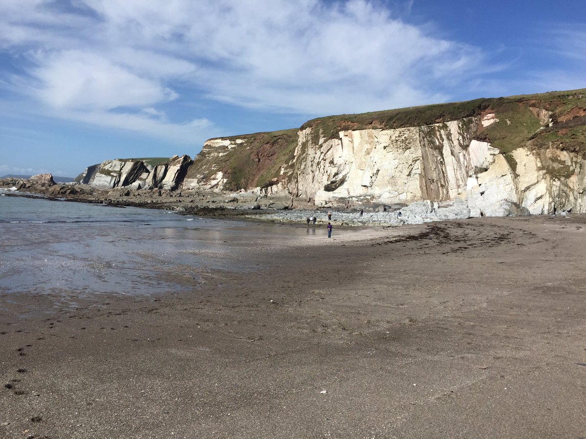 billypharding's tweet photo. #Devon #ayrmercove #ringmore https://t.co/Ix3IuMckeF