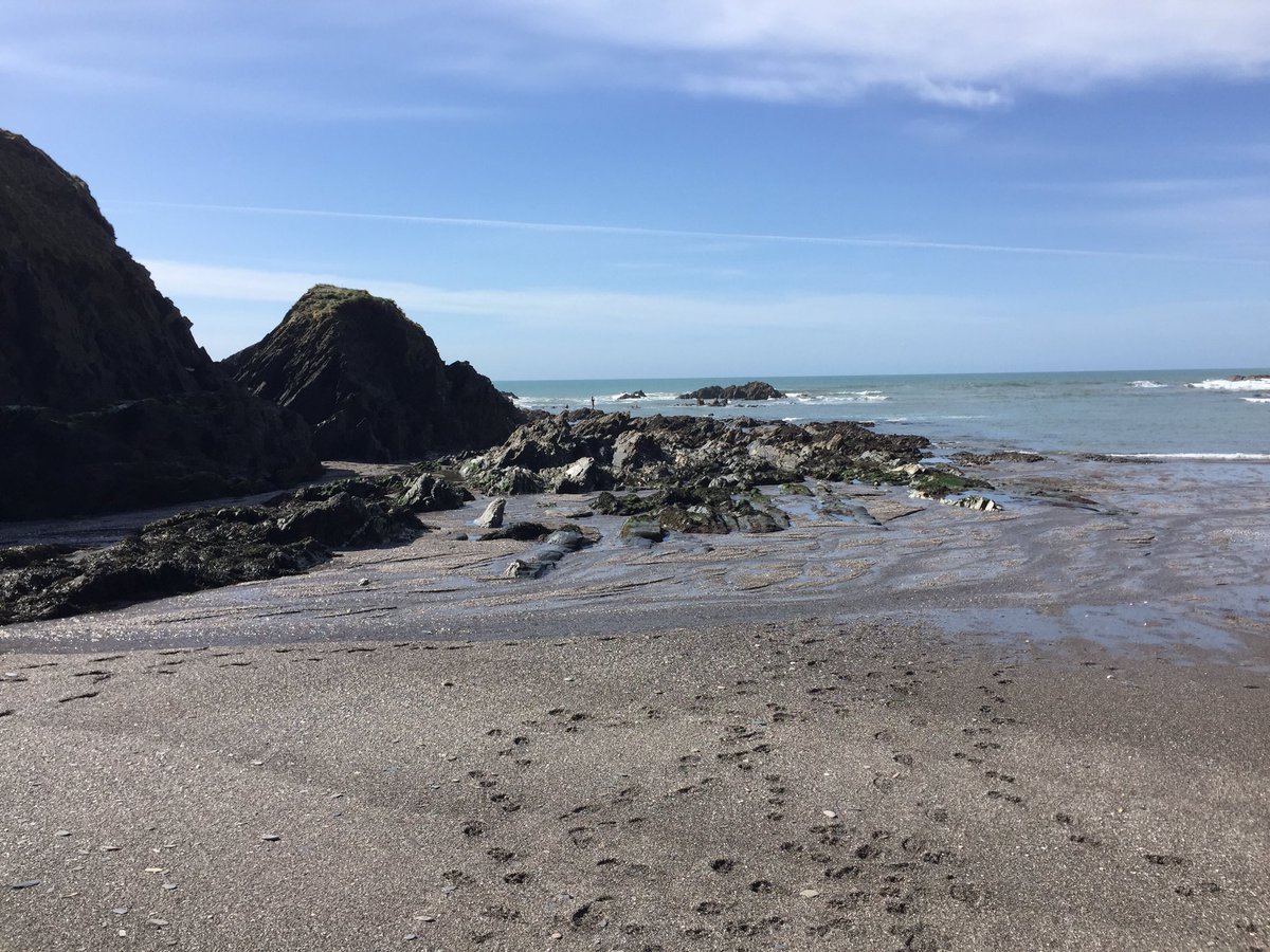 billypharding's tweet photo. #Devon #ayrmercove #ringmore https://t.co/Ix3IuMckeF
