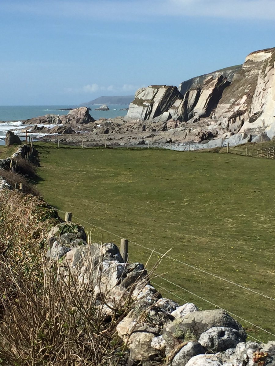billypharding's tweet photo. #Devon #ayrmercove #ringmore https://t.co/Ix3IuMckeF
