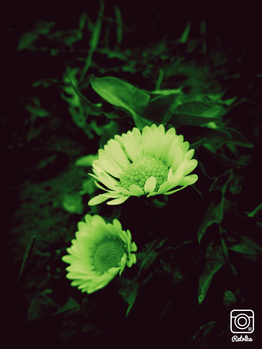 TrebleJes tweet picture