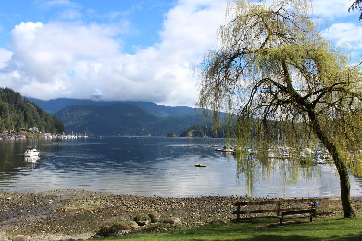 peacecorpsryan's tweet photo. Hope everyone had a good spring break! We spent ours in Vancouver, BC; you? New term, new you. #SOUPC #Raiders #SOU https://t.co/sGlDcA2oLL