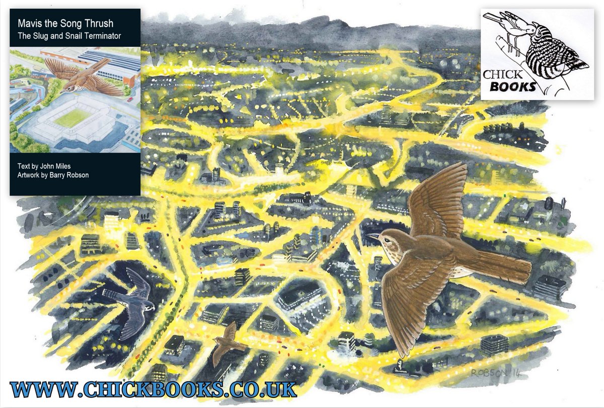 Chick_Books's tweet photo. New #Childrensbook 'Mavis the Song Thrush'! @RSPBMidlands @WildChild_Sco @RSPBLondon @RSPBbirders #Wildlife #Nature https://t.co/Jw0xfE1rHi