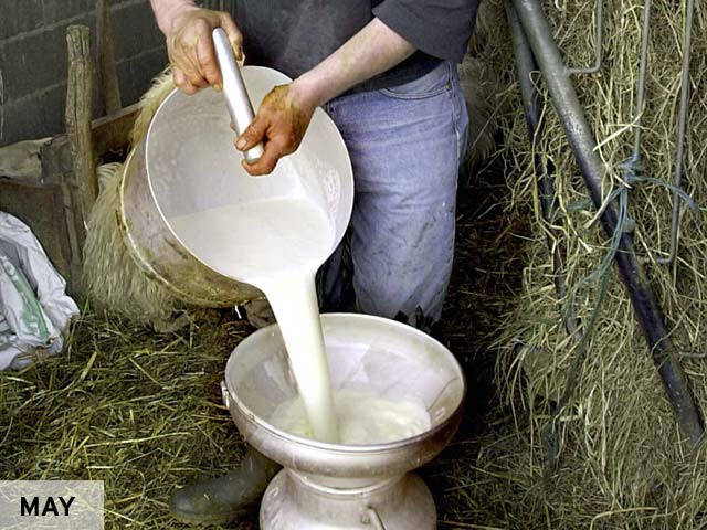 EU Dairy Price Reports Showing Slight Uplift - theglobaldairy.com/noticias/eu-da…