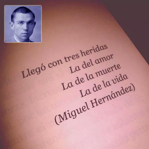 Lgalcer's tweet photo. Miguel Hernández, maestro de la poesía https://t.co/vyP3VzmqOq