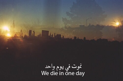 fofo2495's tweet photo. في يوم واحد .. https://t.co/FjrmnZV8wj