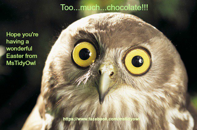 MsTidyOwl's tweet photo. https://t.co/HZnuBz9wXC