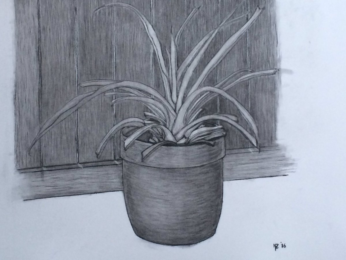 NZFStudio's tweet image. 2nd piece(1st phase done)