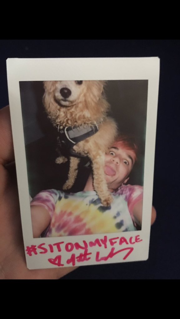 shady_styles's tweet photo. @MatthewLush MCM cutest human being alive ilyyyy❤️ https://t.co/E3GiFJfB4u