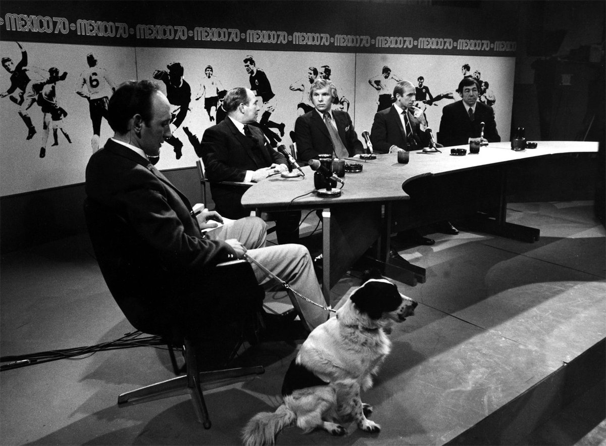 BBC Archive on Twitter "OnThisDay 1966 Pickles the dog found the