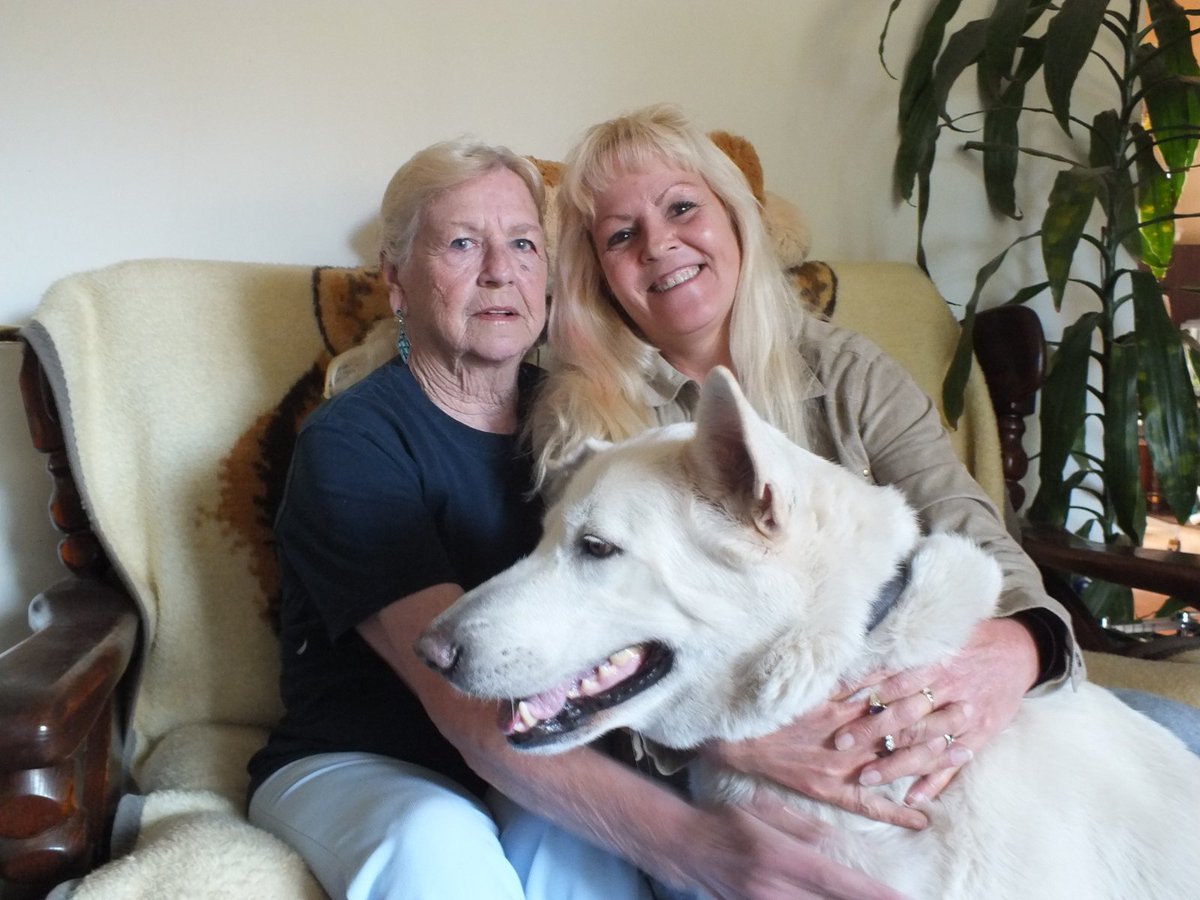 halfacandy's tweet image. Beautiful day today. Sadie's not too happy. She has ear problems and she doesn't like taking pills.