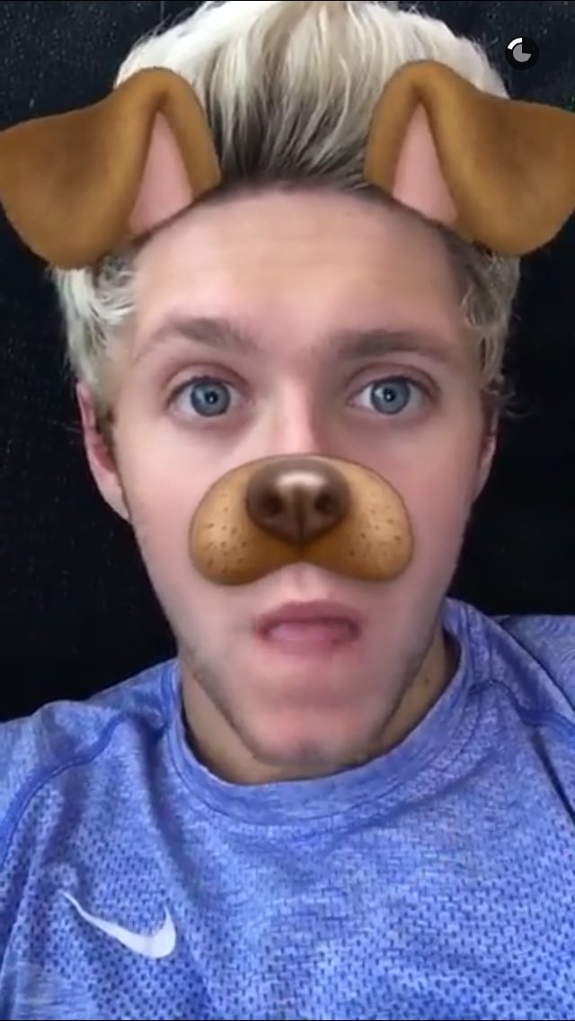 hazelcloudsx's tweet photo. Omg Niall 😻😻😻 https://t.co/JrywNkJC8H