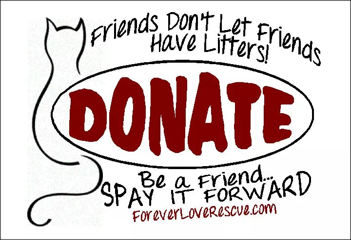 StephanieBaum1's tweet photo. Community Cats Funding Program!  Each $25 donation provide surgery for one cat.  Donate at https://t.co/3sfm9k8oXE https://t.co/IOlGT5mr0g