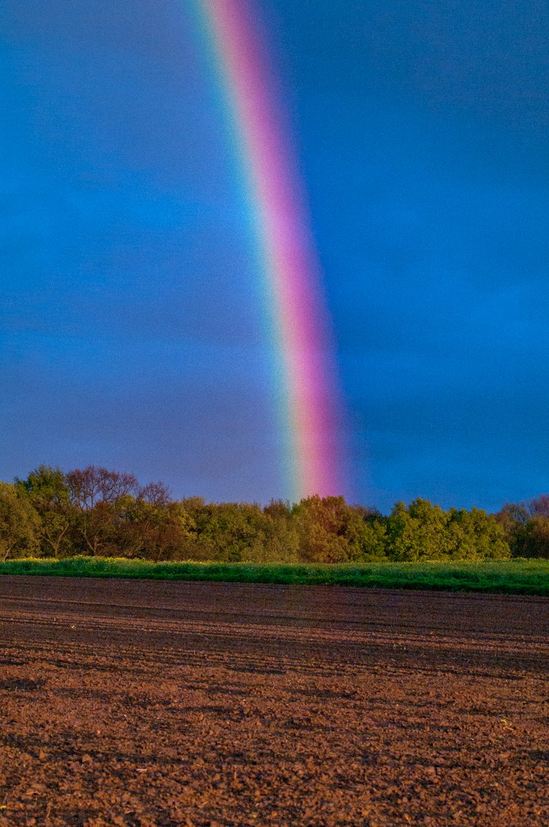 FotoTobi's tweet photo. Nach dem Regen folgem wir dem Einhornschweif in den Himmel!
#Einhorn #Regenbogen #Farbenpracht #Colourflash https://t.co/u5m5ccXrQb