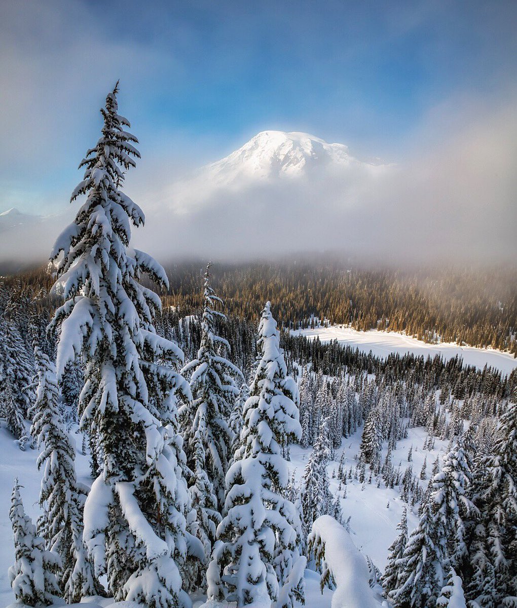 Interior's tweet photo. A gorgeous pic of the elusive Mount Rainier (@MountRainierNPS) by Scott Kranz #Washington #weather https://t.co/MCUWQaCxaL