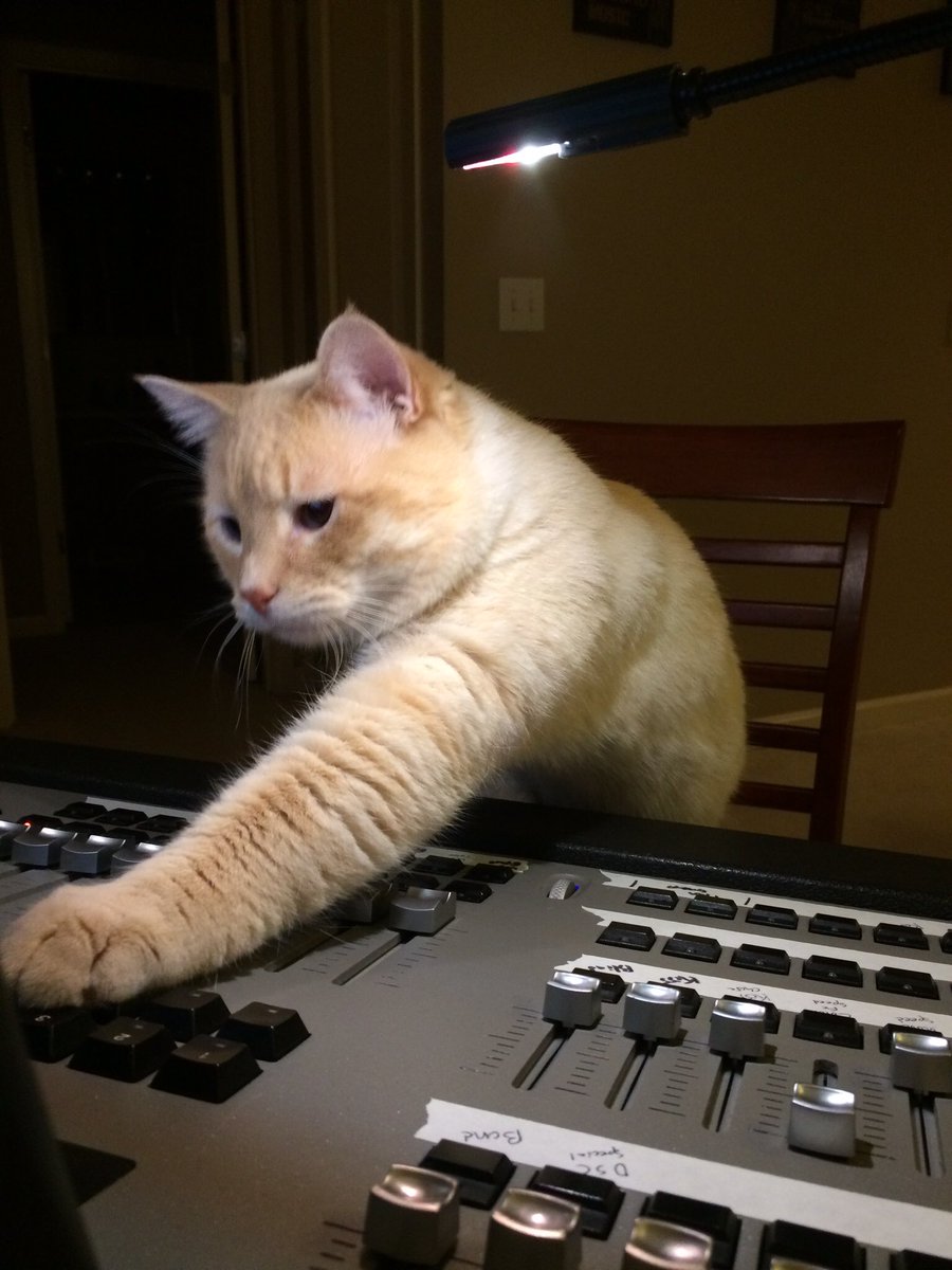 Austin Taylor tweet media