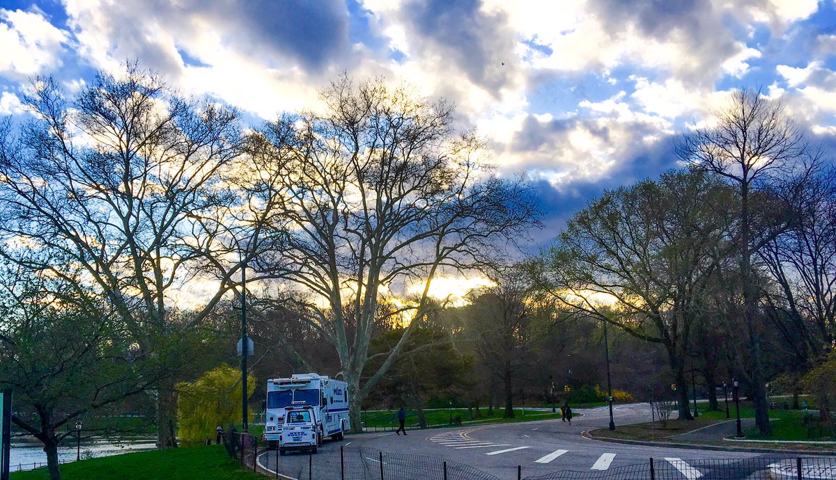 StudioNQnyc's tweet photo. Los cielos de #NewYork nos regala esta imagen #Nikond810 #centralpark #studionq https://t.co/vmkAhAyDIl
