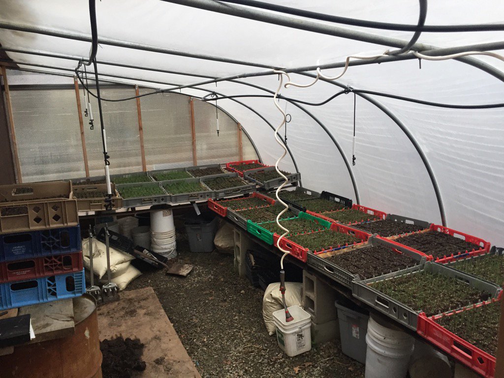 marsfarmer75's tweet photo. Seedlings preparing for their mission. Who couldn't love the little #redplanetfarm propagation house? https://t.co/MSy1LcGCOE