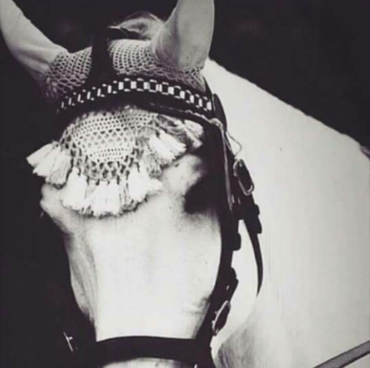 hydralbghdady2's tweet photo. الوفاء .. ليس أن تجاهد نـفسك كي لا تخون ؛ بل أن تعجز عن الخيانة ؛ حـتى لو كنت قادر عليها !! https://t.co/iMERt4cRHE