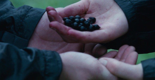 The Hunger Games (2012)