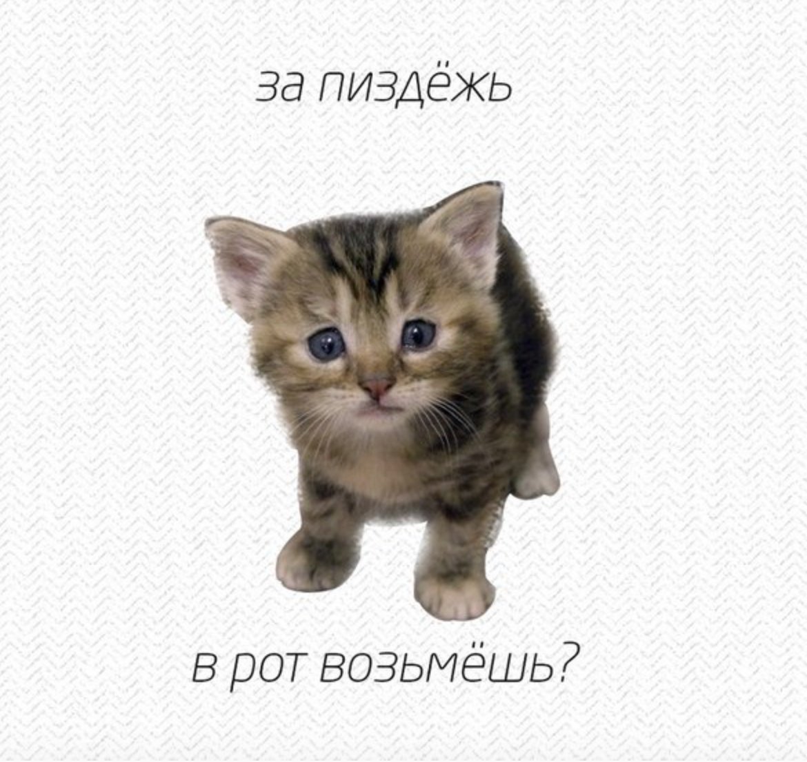 Пиздёжь Мем