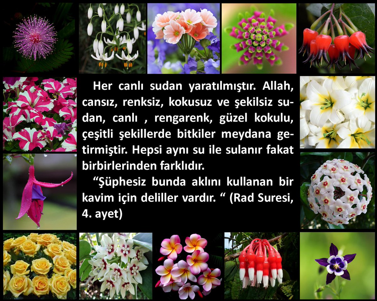 Siz hiç düşünmez misiniz? (Kuran-ı Kerim)