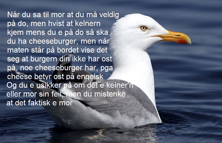 smartekatten's tweet photo. https://t.co/GhclSAEGHb