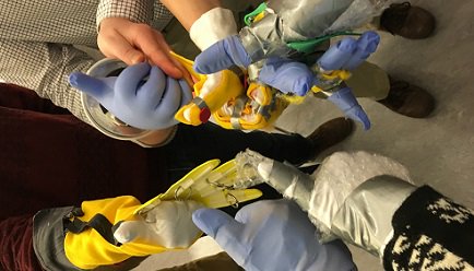 CunninghamCM's tweet photo. What will our next #afterschool unit be? Maybe engineering "space gloves!" @EiE_org #PlanetSTEM & @cstlnau #NASA https://t.co/4Mh4qLGlTC