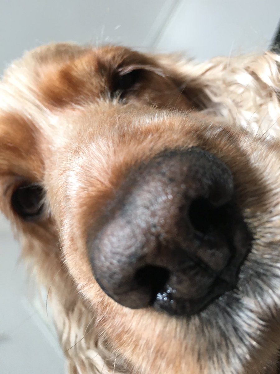bellspops's tweet photo. What's in ur fone?? https://t.co/YLw0Vwk2ql
