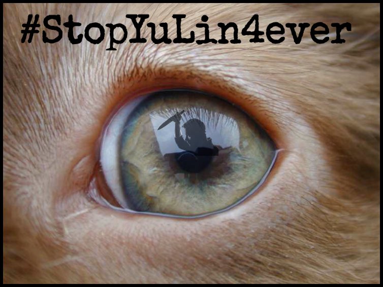 annamoor1995's tweet image. The world views China as barbaric &amp;amp; cruel. Stop the YuLin dogmeat festival &amp;amp; show compassion #StopYuLin4ever