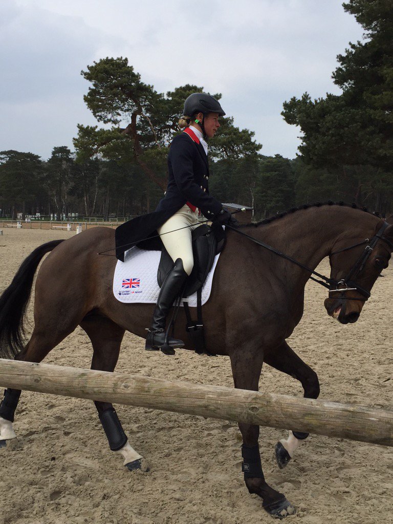 AnnaSpannaM's tweet photo. Allercombe Ellie looking beautiful @TheCrazyRide https://t.co/KP53ckVBaW