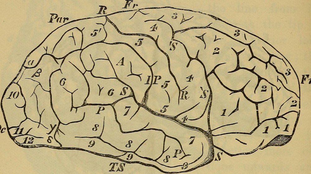 juditcarrera's tweet image. La manipulació de la consciència, el cervell i la immortalitat, al cicle 'Més o menys humans?' #HumansCCCB