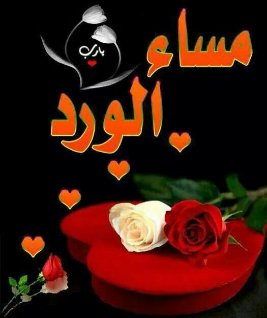 الفرعون الصغير amr (@amr203am) on Twitter photo 