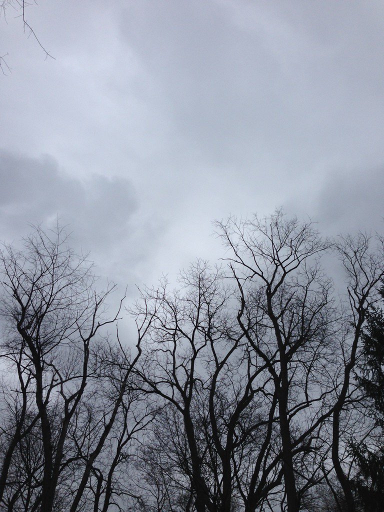 onlyhereonlynow's tweet image. Gray.