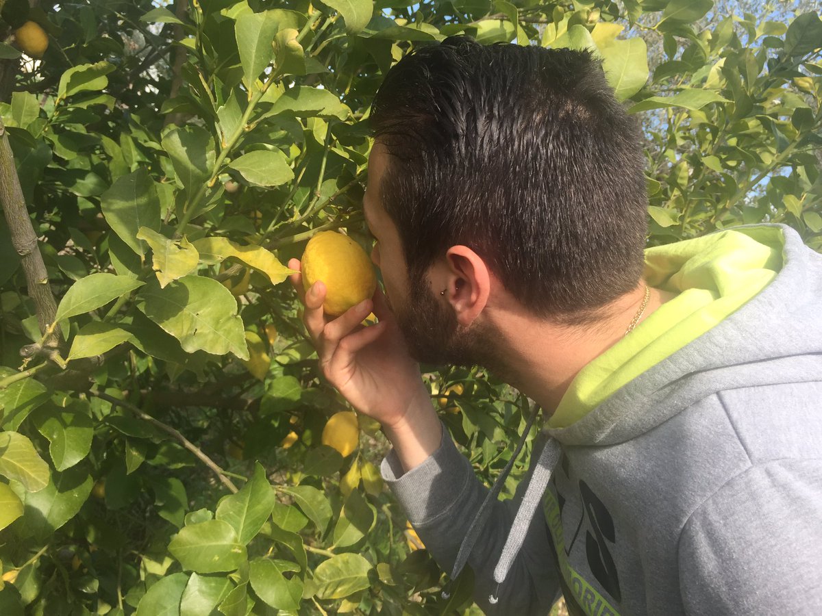 MaxScirocco's tweet photo. La materia prima è importantissima . Rispettate la natura ve ne sarà grata❤️@antoclerici @Provadelcuoco @RaiUno https://t.co/2oIBlAp1DC