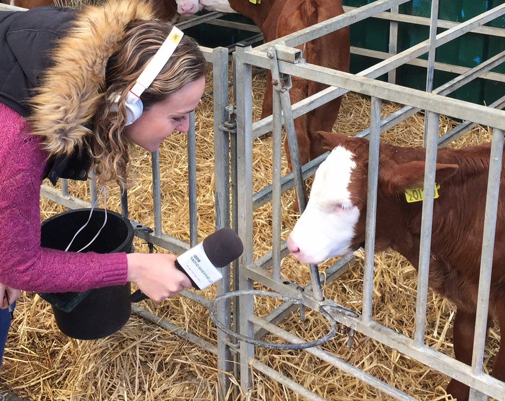 OurCowMolly's tweet photo. @FarmersOfTheUK We do @OpenFarmSunday every year. #PasturePot #FarmerFancyDress #MakeMineMcCormick #OFS15 #OFS16 https://t.co/BeF6uujrFN