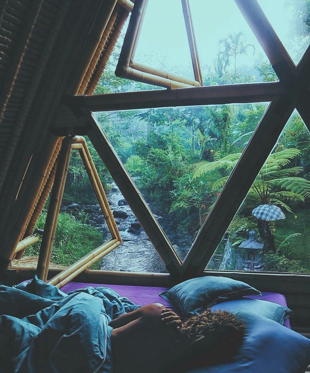 TravelingSnaps's tweet photo. Omg https://t.co/aSoDH3A2zK