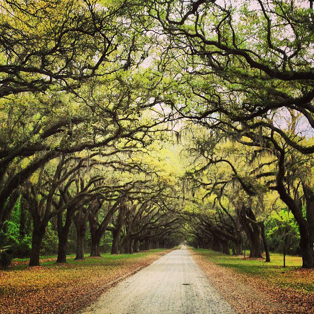 Brush up on #Savannah's rich history with this easy-to-follow guide! >> bit.ly/18JchOu #VisitSavannah