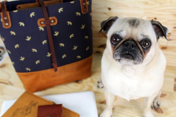 inbluehandmade's tweet photo. Sneak peek! New Tote! Comes with free pug... JK get your own pug, Lola's taken! https://t.co/JeHZz4o4dh