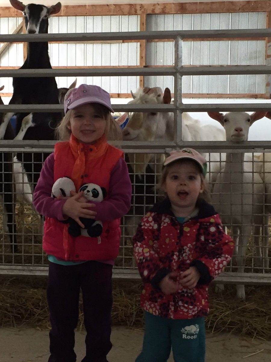 jmoshea1980's tweet image. Just a few farm girls @RyanPOShea #goatfun