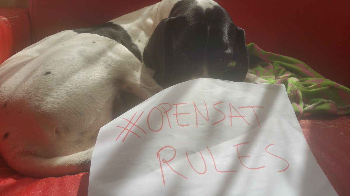 Ragiro87's tweet photo. @OpensatMobile #opensat #opensatrules #sorteocubot https://t.co/jfWSdfBM6G
