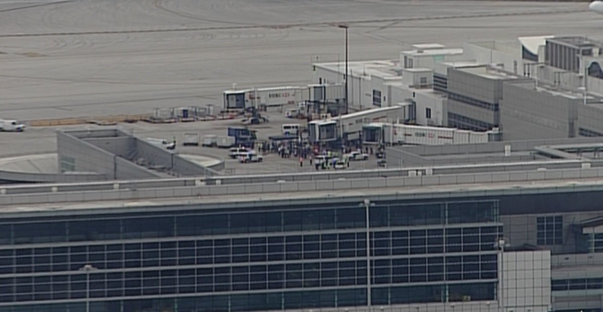 #UPDATE All clear signal given at #MIA after terminal evacuation due to suspicious package bit.ly/1RBXcU9?utm_me… https://t.co/mG6cggSQrw