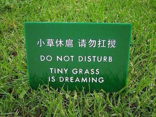 marcuschown's tweet photo. I wish this translator translated EVERYTHING https://t.co/Vs4prQ2nU3