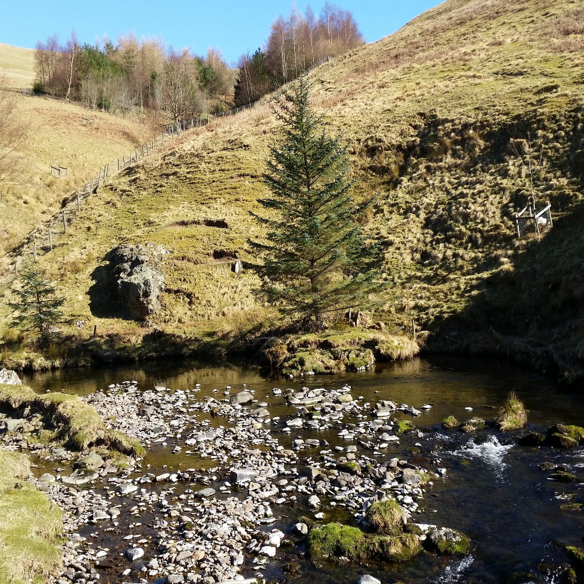 CarolParsons's tweet photo. #Northumberland #forests #borderforest #Scenic #sunnyday 🌞🌞🌞🌞🌞 https://t.co/lUMlkEk6hE