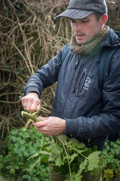 CForageandfind's tweet photo. Great foraging walk today ! The weather held, thanks everyone who came out! https://t.co/pe39y0EYLB