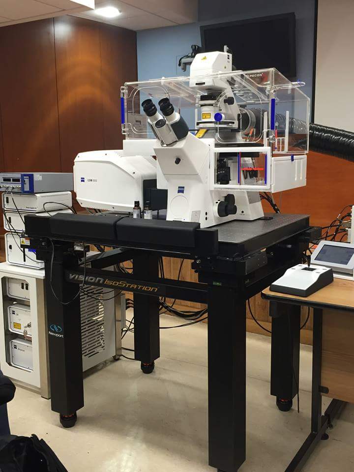 MARdeQFB's tweet photo. It's wonderful when the airyscan comes to changes your life LSM 800 🎉😍🎊 #ILoveScience https://t.co/pUUydcRz8p
