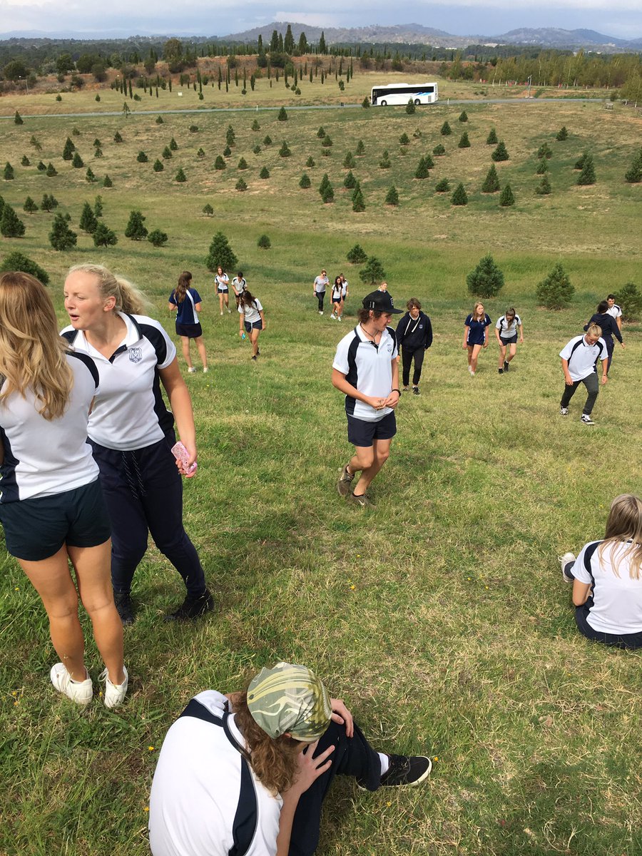 mrhfromaus's tweet photo. @YassHighSchool wandering around the #Arboretum in #Canberra. Came across a #Wollemia #pine! #geography #geoisfun https://t.co/A9L0VxzPT9