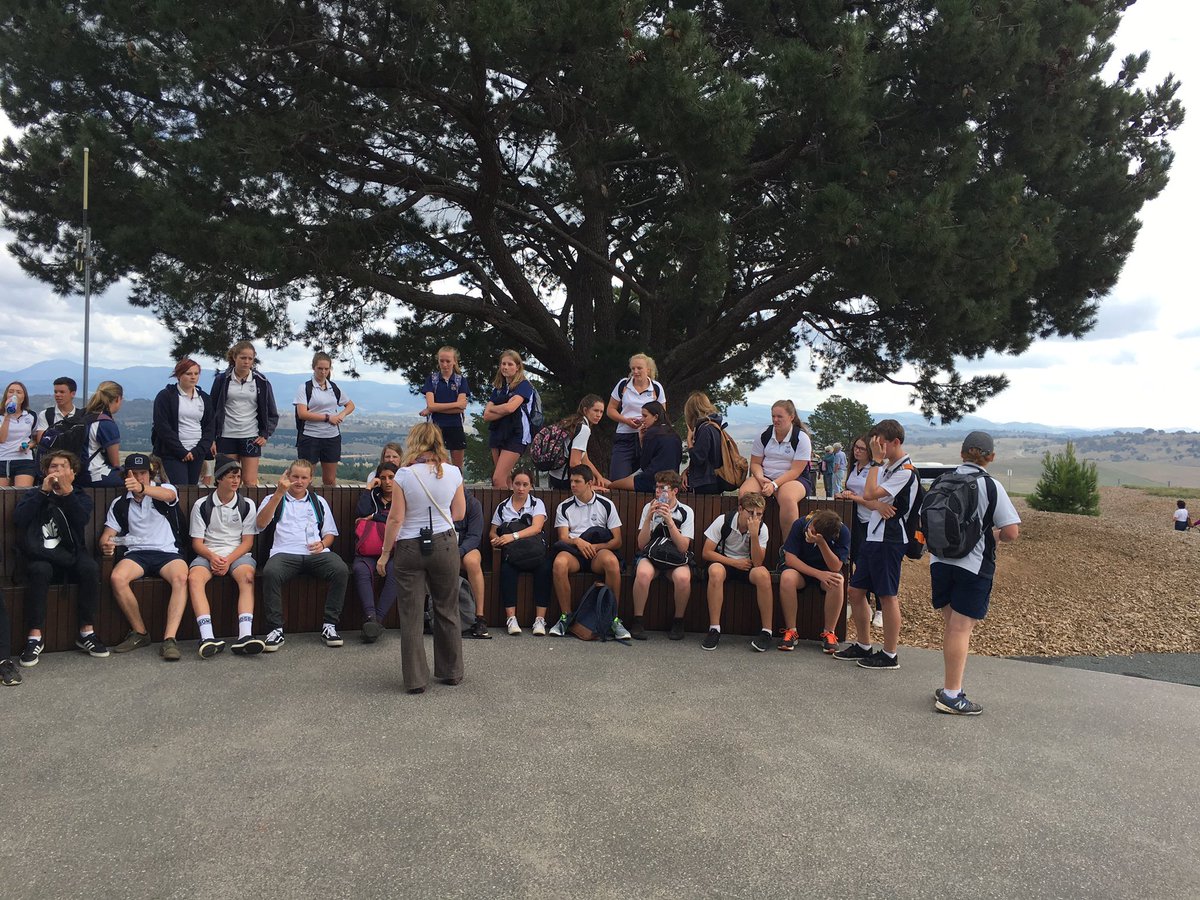 mrhfromaus's tweet photo. @YassHighSchool wandering around the #Arboretum in #Canberra. Came across a #Wollemia #pine! #geography #geoisfun https://t.co/A9L0VxzPT9