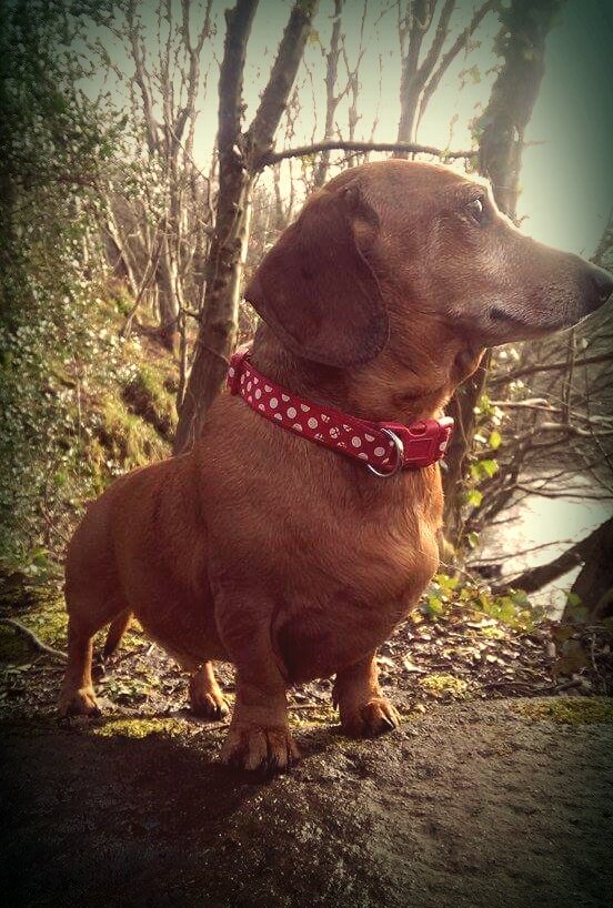 My beautiful little man <3